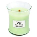 Woodwick Sweet Lime Gelato Medium Jar Retail Box No