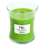 Woodwick Evergreen Medium Jar Retail Box No warranty